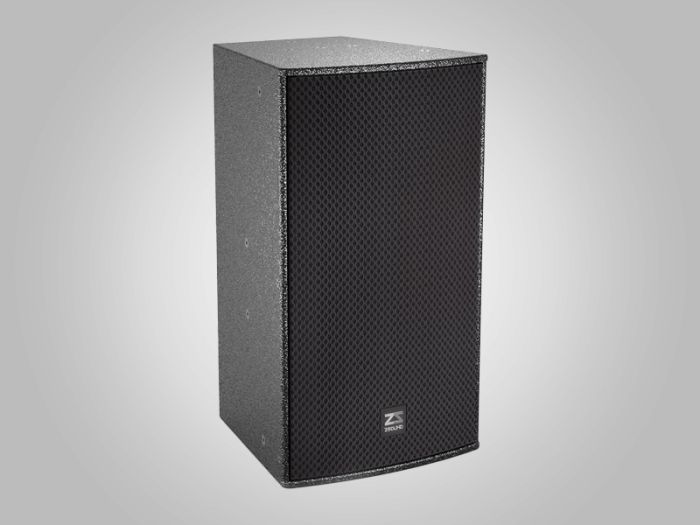 ZSOUND U10 10-дюймовый пассивный колонка