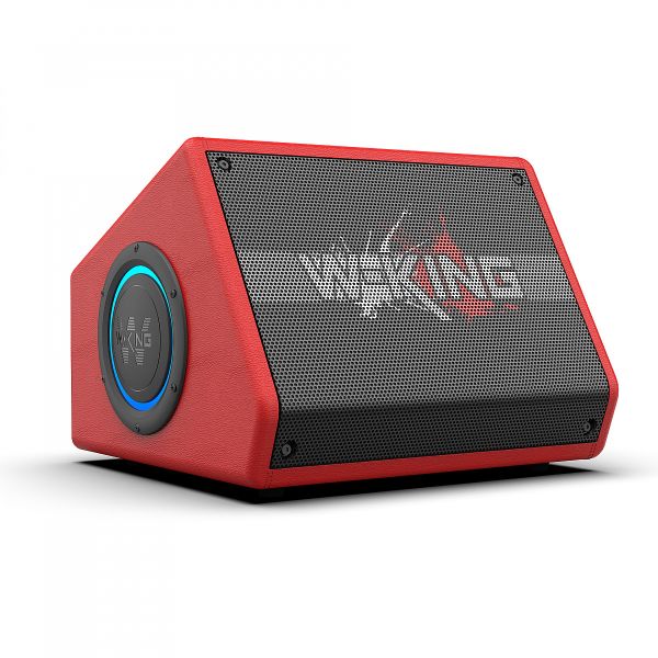 W-KING K40 Портативная колонка с микрофоном